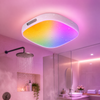 HueFlow™ Smart Shower Light
