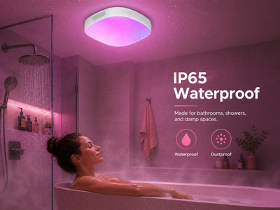 HueFlow™ Smart Shower Light